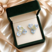 Frosted iris Ronghua stud earrings in a green gift box
